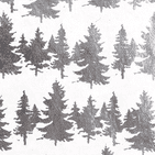 V36535 - Pine Forest Wrap Silver - RW279.00/01 10/PK